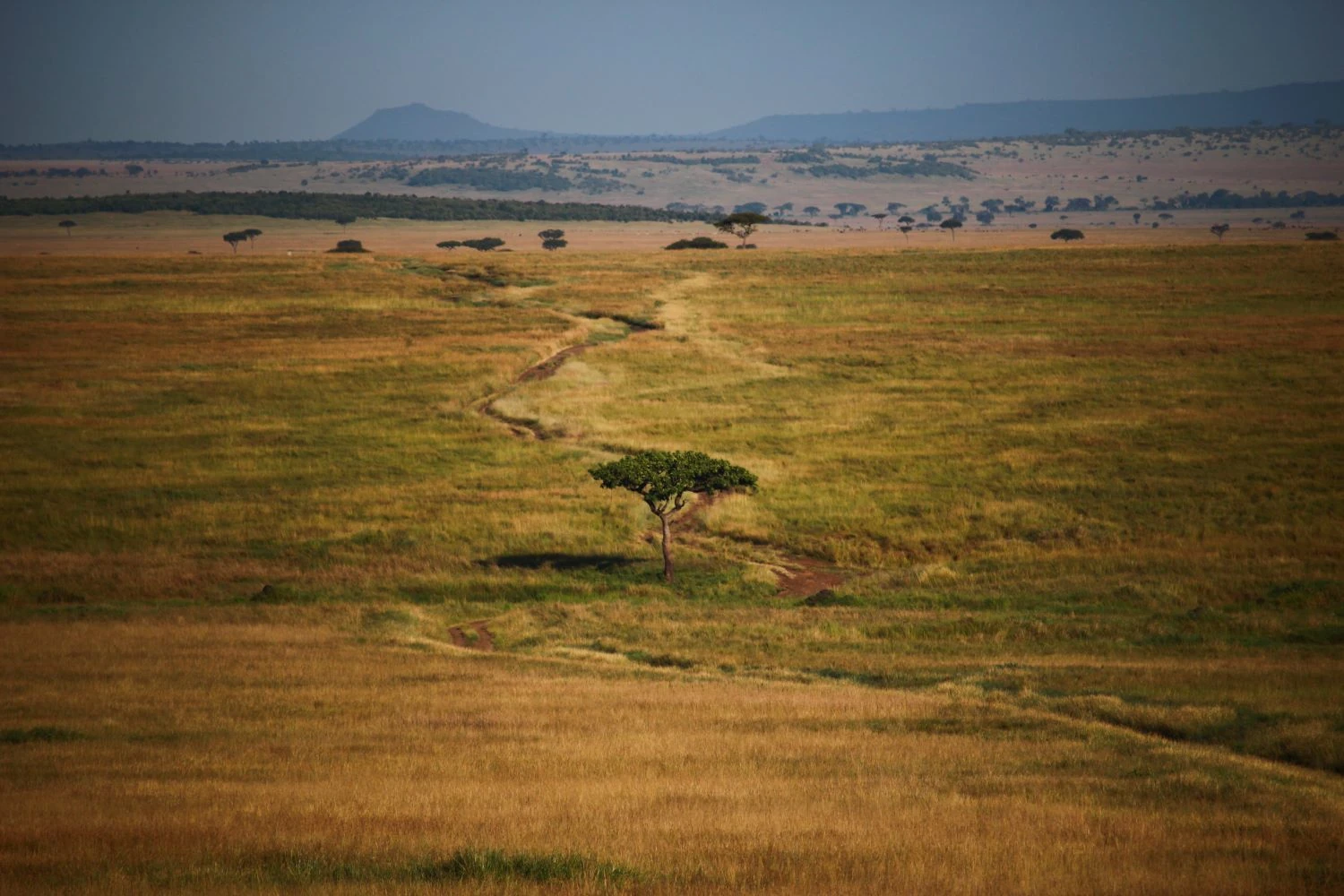 Tanzania-Kenya border